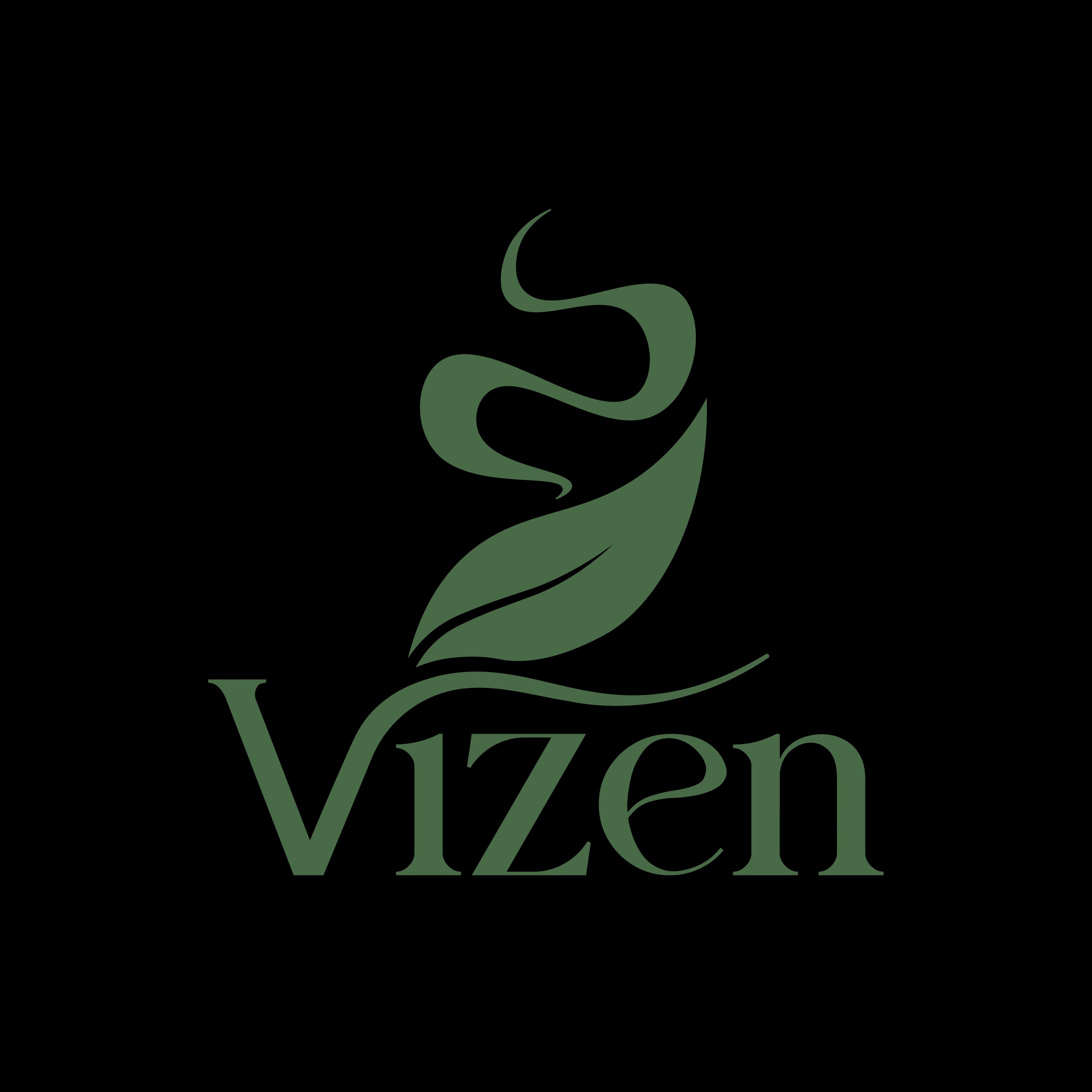 Vizen